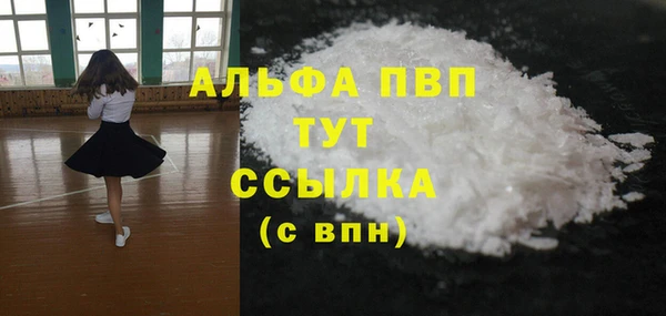 индика Алексин
