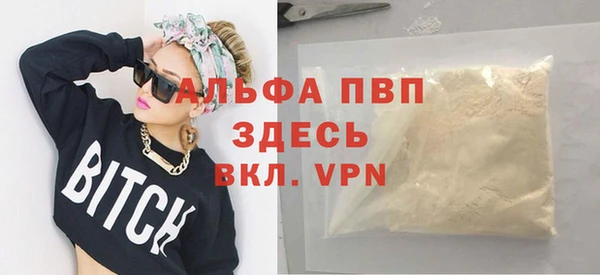 стафф Ростов