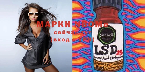 индика Алексин