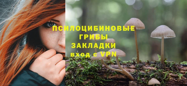 индика Алексин