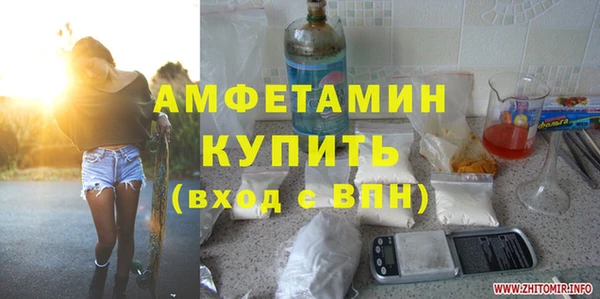 индика Алексин