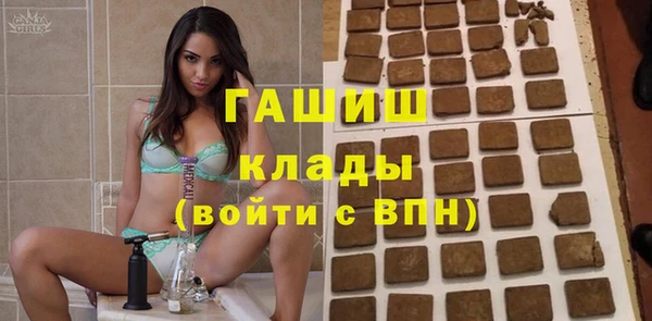 индика Алексин