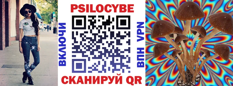 Псилоцибиновые грибы мицелий  Пыталово 